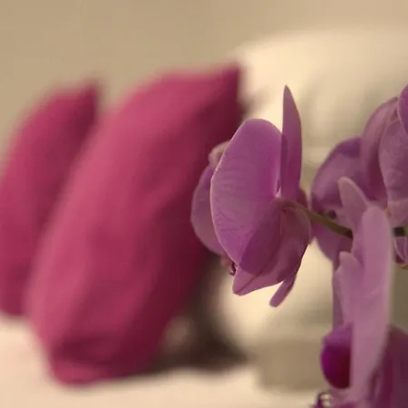 Boschetto49 아파트 로마